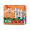 Refreshing Electrolyte Gateway Tea 6-Pack Variety Pack HM0F - Sugar-Free Fruit Flavor Cartridge Refill - Default Title